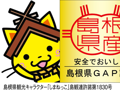 プレミアム干柿SHUKU「西条柿」15玉