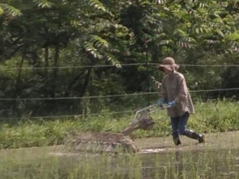 農薬不使用　米粉　6.3kg【900g✕7個】 ＋【玄米餅】約800g【20個前後】