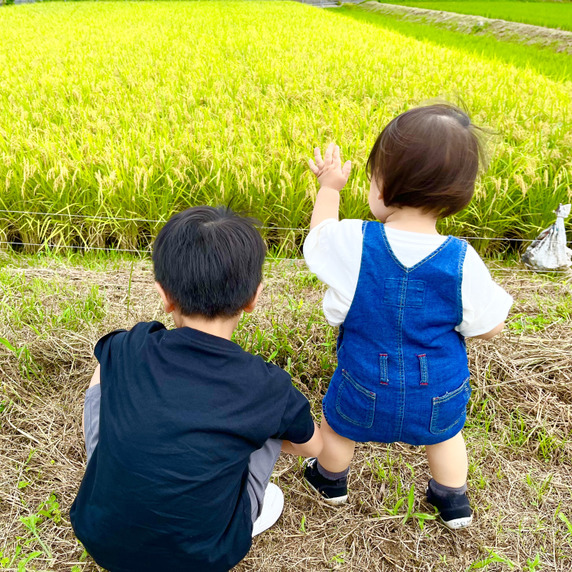 つむぎfarm