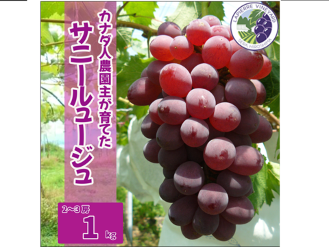 【カナダ人農園主の真心を込めた】サニールージュ約１ｋｇ（ご家庭用）