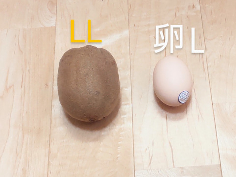 大阪産キウイ(ゴールデンキウイ)　
届いた頃が食べ頃
2kg　 LLサイズ　8~12個位　
手のひらにズッシリ１個２００g程度
美容と健康にダブルサポート❗