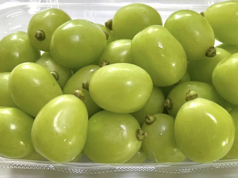 【家庭用】　山梨県産　シャインマスカット　粒パック　500g×2パック