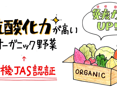 オーガニック野菜セット　有機野菜　Ｌセット（有機JAS認証取得　JGAP認証　）