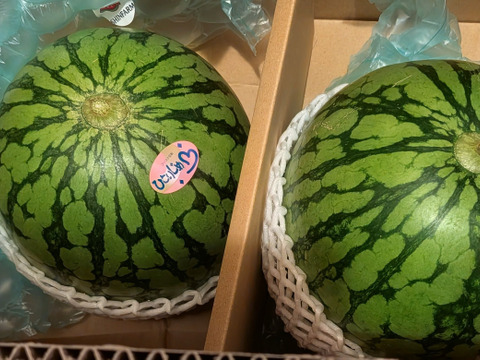☆大人気☆名産地熊本県よりお届け‼︎小玉スイカ2玉入り(2.0.kg以上×2
