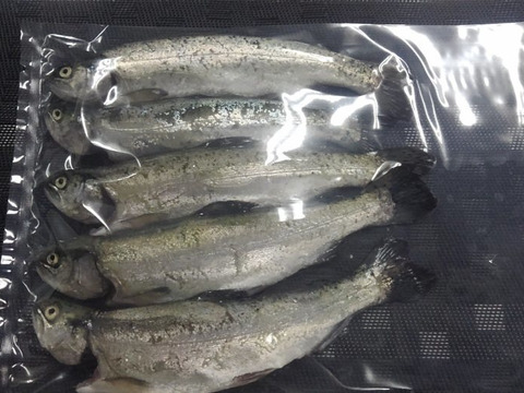 やっと販売までこぎつけました ニジマス塩焼き用 下処理 済み 甘塩 ５尾入×２パック真空パック