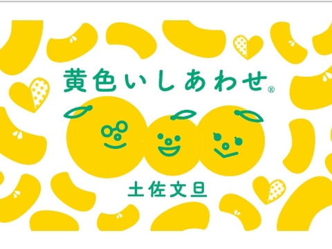 【福袋】南国高知から黄色いしあわせ®をお届け💛　土佐文旦　A品(農園独自基準)　大玉(3L～5L)　5kg(8個前後）化学合成農薬栽培期間中不使用　お届け日指定可☆　※北海道への配送はできません