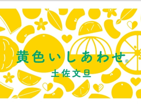 【福袋】南国高知から黄色いしあわせ®をお届け💛　土佐文旦　A品(農園独自基準)　大玉(3L～5L)　5kg(8個前後）化学合成農薬栽培期間中不使用　お届け日指定可☆　※北海道への配送はできません