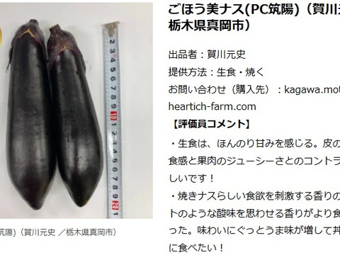 【野菜ソムリエサミット『金賞』受賞！！】ごほう美ナス　（約4kg、ナス35－40本）