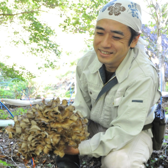 やま屋よしとみ