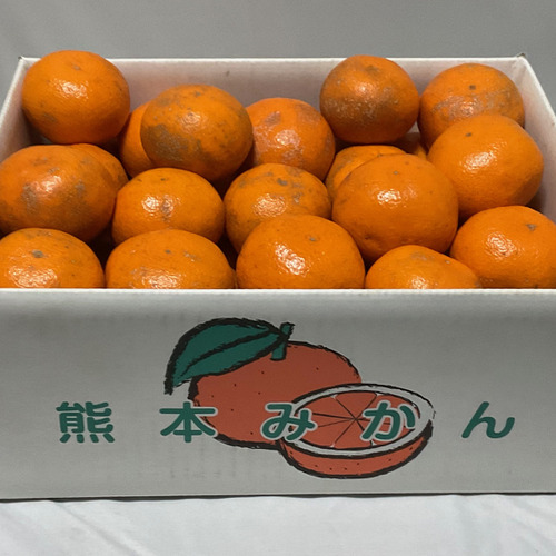 『レギュラー』熊本濃くみかん　甘さと酸味のバランスが絶品！　Ｌサイズ　5kg