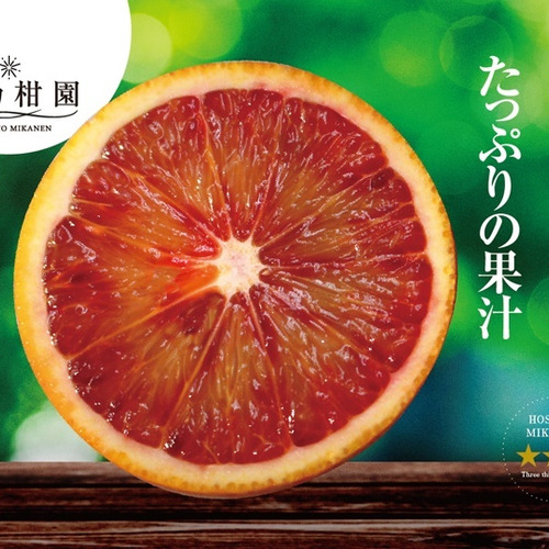 星乃みかん【木成り完熟】愛媛産 ブラッドオレンジ 4kg