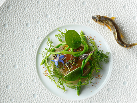 【2023販売開始】天然鮎/鳥取市千代川/網/朝水揚げ→午前中発送/夏を感じてください/300g〜400g【生】【冷蔵】