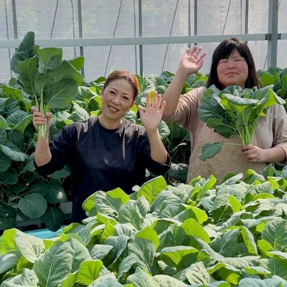 株式会社MAYA SUSTAINERGY（サステナファーム磐田）