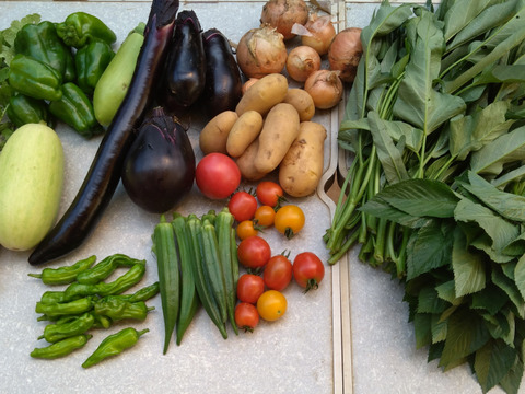 [定期購入] ギュッとお得用セット Sサイズ(約7品)