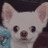 モアちゃん さんのサムネイル