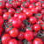 【甘】🍅オーガニック高糖度ミニトマト【miuトマト】カツオとコンブで大切に育ててますので甘くて味が濃～い‼　3000g(500g×６パック)