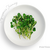【FISH VEGGIES】サラダクレソン 30g　化学肥料/農薬不使用だから安心して食べられる