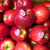 【今も旬🍎シャキうま🍎】 ピンクレディー®︎3キロ箱  長野県 信州 安曇野 リンゴ 幻 幻のリンゴ 予約 希少 旬 6玉〜16玉サイズ 商品ID42100
