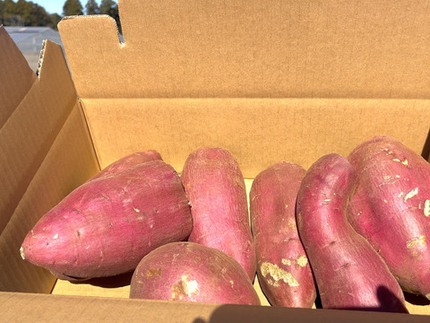 サツマイモ 紅はるか 5Kg箱 訳あり　有機肥料のみ 大中小サイズ混合家庭用 (中身4.91ｋｇ前後）有機質の畑で育ったサツマイモ