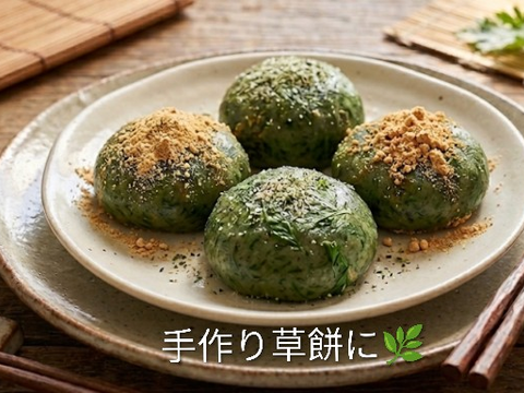 よもぎ生葉🌿60本（60苗）（約400g）以上🌿蓬☆上から15cmの柔らかいヨモギ🌿和ハーブ「ハーブの女王」高いデトックス・冷え性改善、抗酸化作用ビタミンK鉄分クロロフィル☆畑横の人が通らない林