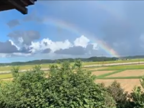 新米【令和6年 玄米 】10kg 農薬不使用 ・化学肥料不使用 千葉県香取市産 特別栽培米　ふさおとめ  農家直送　収穫したてです。