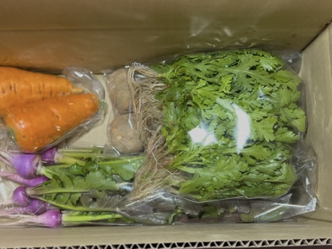 【自然栽培】4品目お試し旬のお野菜セット