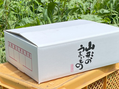 ★爽やかな夏ギフトにぴったり♪ 山形県の農園から直送まどか 3kg 【８玉～11玉】入り