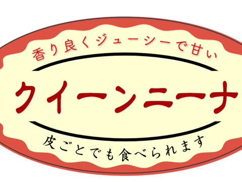 優雅で芳醇な香りが印象的『クインニーナ』1kg〜1.1Kg(２房〜３房)