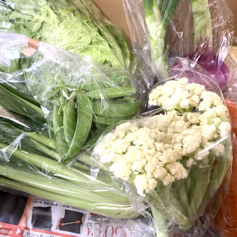 岩本 繁 | こんにちは☀ いわもと農園の元気野菜セット、販売