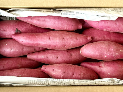 【新芋】サラリと溶けるホクホク系‼︎新品種「ゆきこまち」 Sサイズ 3キロ箱