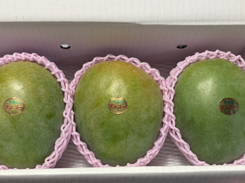 値下げ中【贈答用】！キーツマンゴー！！3玉入り（約3㎏）