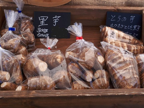 安心・安全な、農園自慢のさといも　1.5kg以上　60サイズ