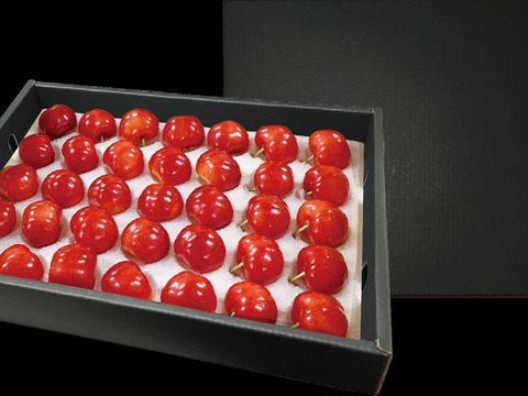 【上位数％の厳選品】　紅秀峰　大玉３Ｌ以上　ギフトＢＯＸ