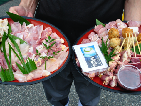 THE鶏づくし!焼鳥&鶏焼き肉お試しセット!【 焼鳥20本 & かしわ焼き肉800g 】