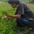 Anns Farm