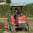 毎日ニラFarm