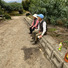 yfarm