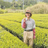 MINOgreentea 