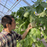 Universal Agriculture Support
