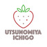 UTSUNOMIYA ICHIGO