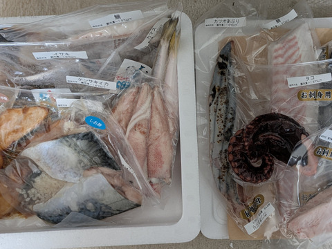 福ギフトセット(切り身、刺身MIX10袋)：愛媛県産の魚介類｜食べ