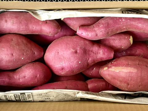 訳ありでもホックリサラリ！新品種「ゆきこまち」色々なサイズ入り  3キロ箱