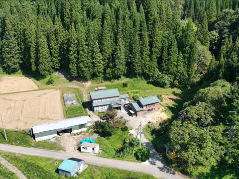 【7年産新米】 残留農薬ゼロの特別栽培米あきたこまち 5kg （玄米）特Aランク 一等米