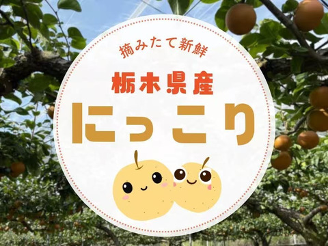 栃木県が誇るにっこり栃木産　5キロ(10-11個)