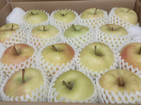 【販売開始！】青森県産りんご「ぐんま名月」家庭用 キズ有 約5kg 【光センサー選果・高リピート率】