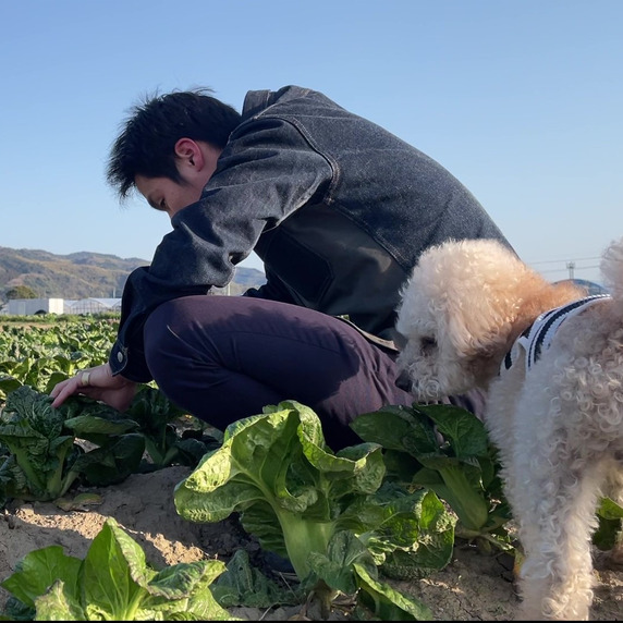 誠の高菜