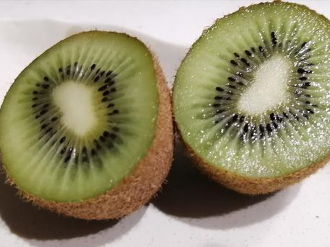 農薬不使用！"小ぶりサイズ"緑キウイ「ヘイワード」2kg