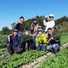 オーガニック農園 しあわせ野菜畑