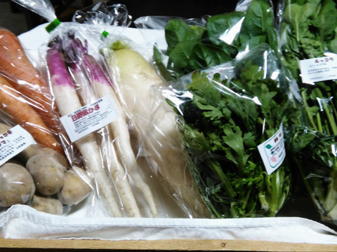 旬のお野菜詰め合わせBOX Mサイズ /基本の5品 + 2品
