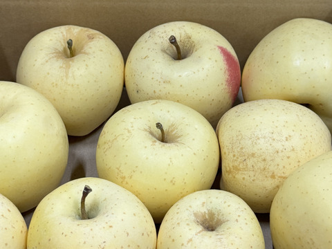 【訳あり・バラ詰め 大小込み】金星（有袋）約2.7Kg　青森県産　数量限定　金星　きんせい　りんご